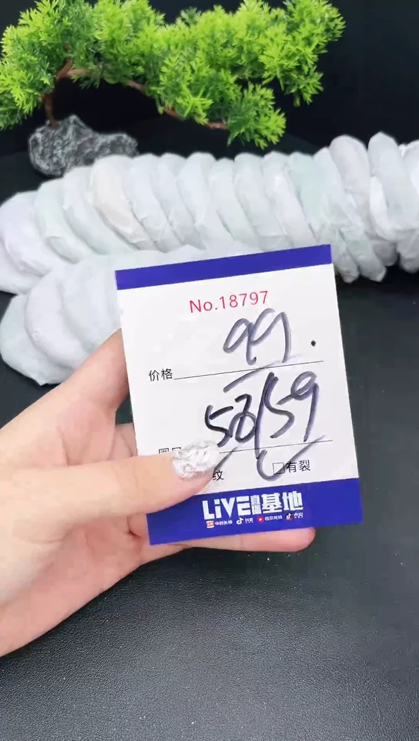 未镶嵌手镯翡翠18797