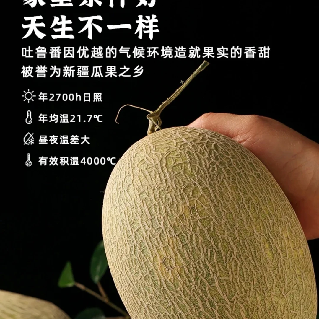 【顺丰快递】新疆直发火焰山脚下头茬哈密瓜现摘现发