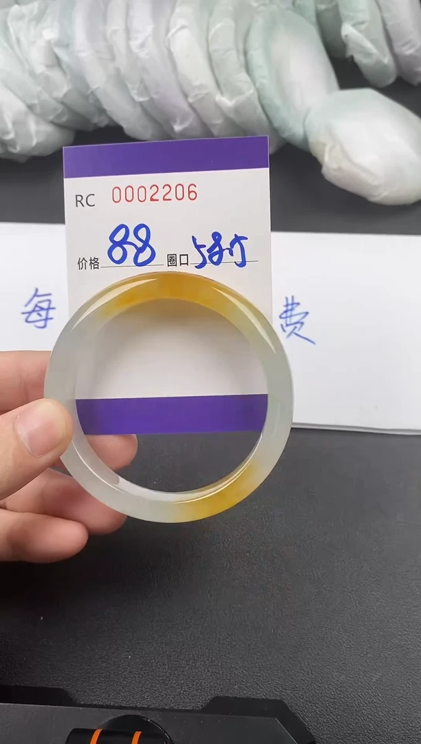 未镶嵌手镯翡翠00002205