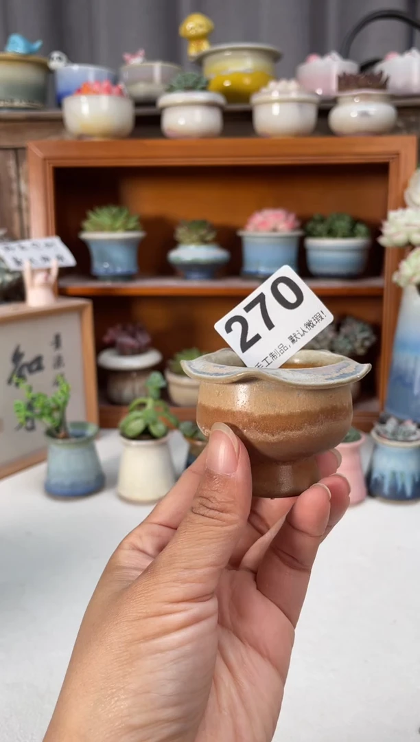 瓷片270小芳直播编号
