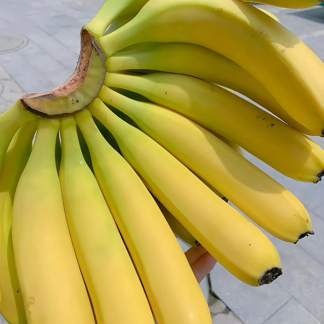 「晓辉优选」香蕉1斤