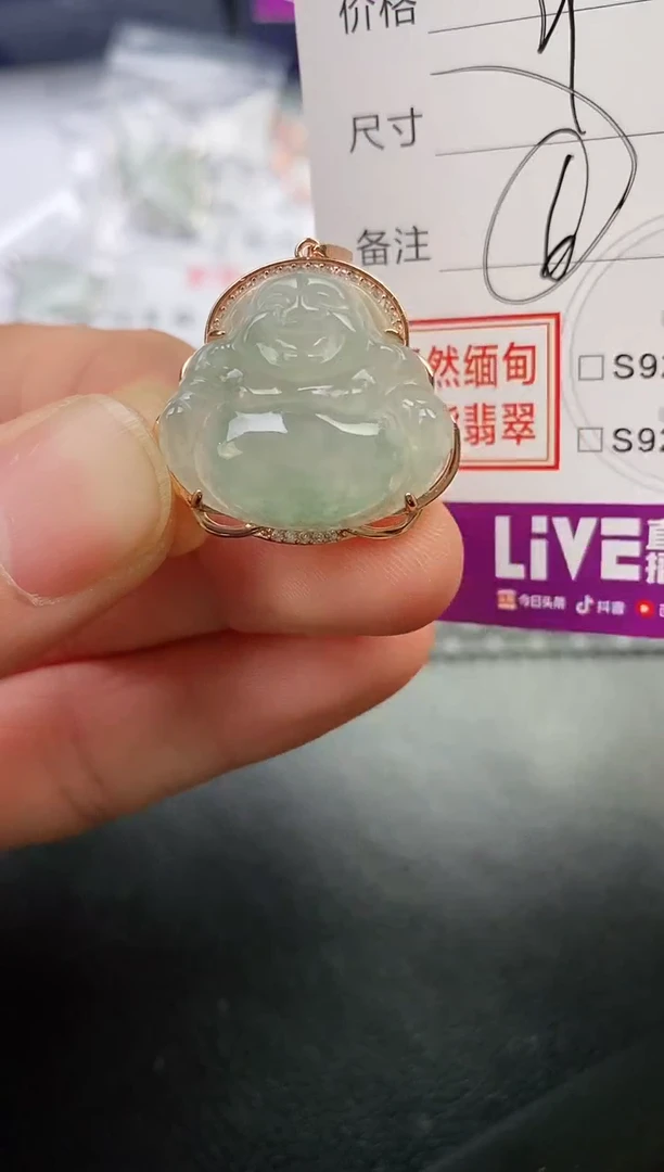 颈饰银S925镶嵌翡翠飞*挂件
