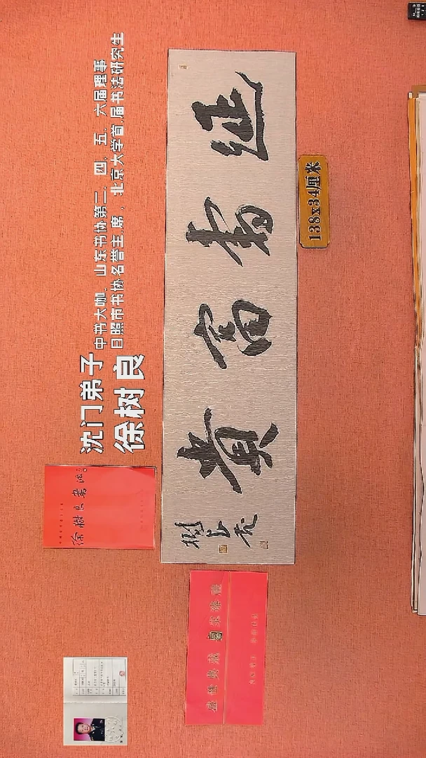 【闪购商品】书法79        徐树良书法作品