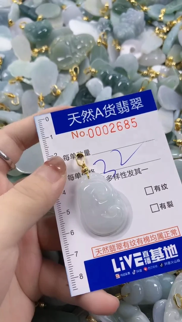 颈饰未镶嵌翡翠天然A货翡翠