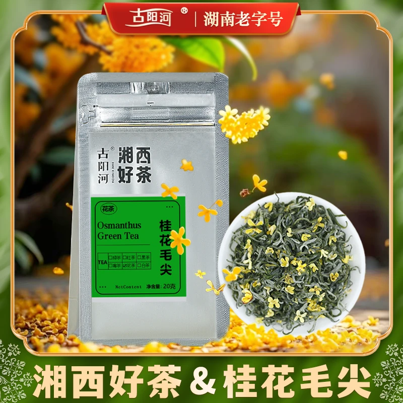 桂花毛尖古丈毛尖明前茶底鲜花窨制三角茶包袋泡花茶（20g/袋）