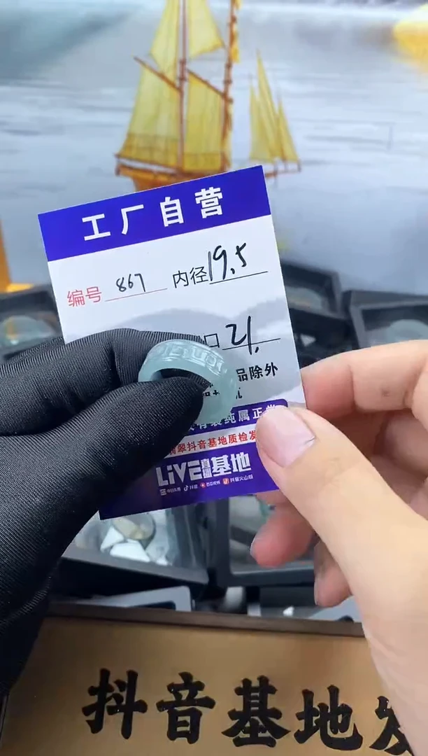 未镶嵌戒圈翡翠867