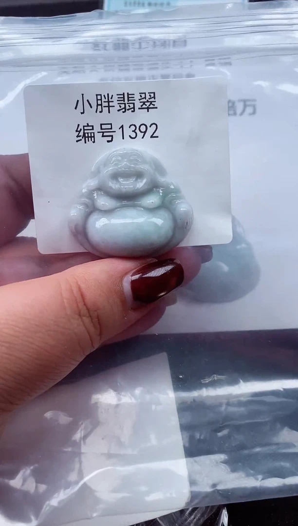 颈饰未镶嵌翡翠缅甸天然A货翡翠1392