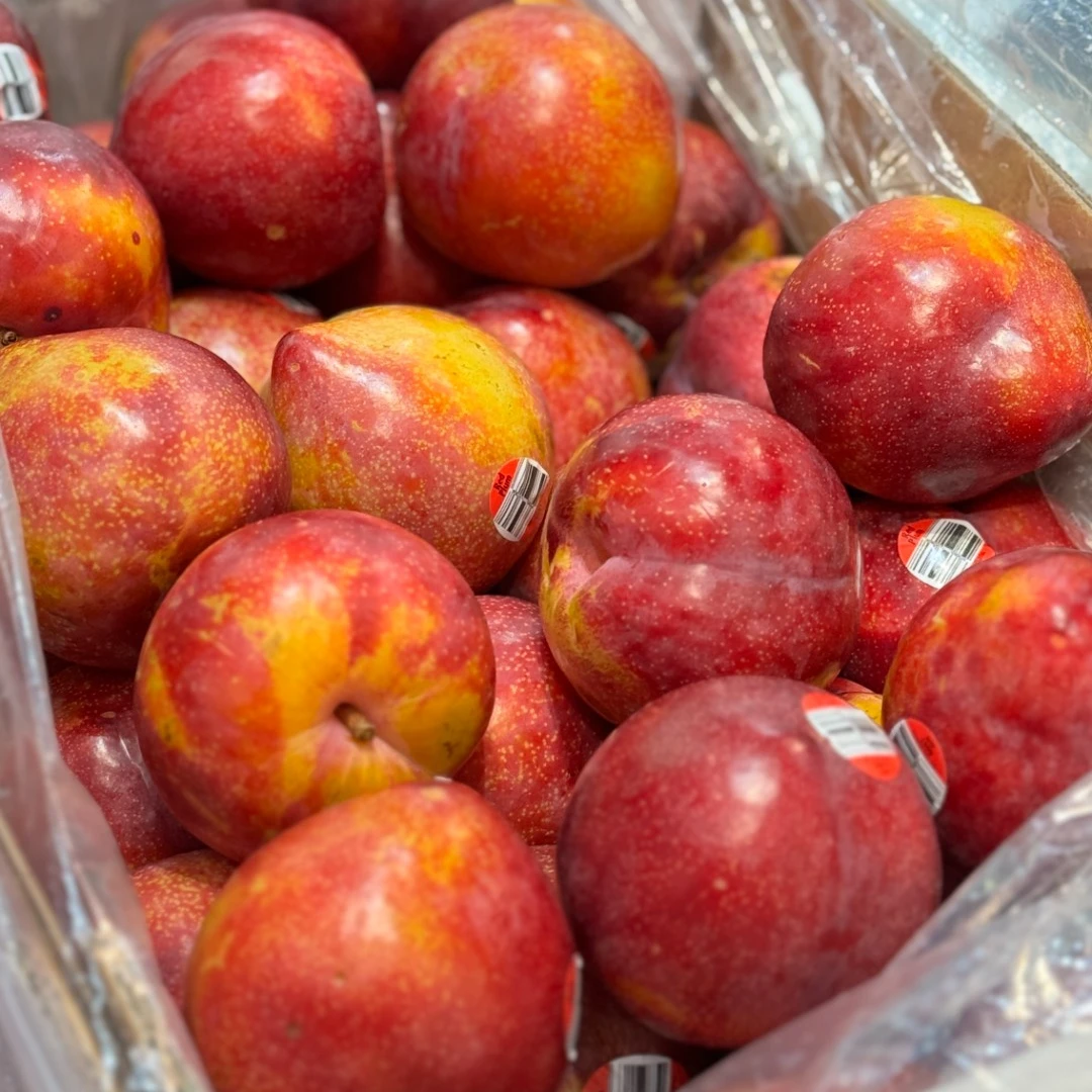 【鲜果】珠宝李子一盒500g左右