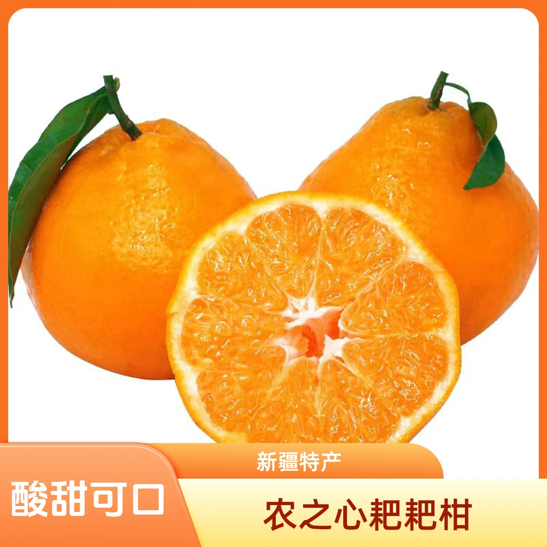 农之心耙耙柑约500g新疆维吾尔自治区