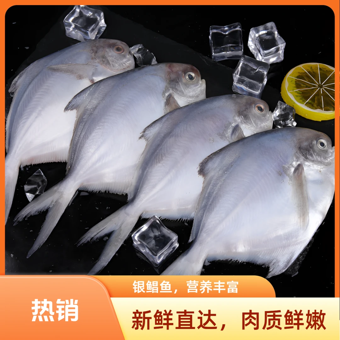 深海海捕银鲳鱼 拍4斤送1斤到手5斤 新鲜速冻 冷链运输包邮