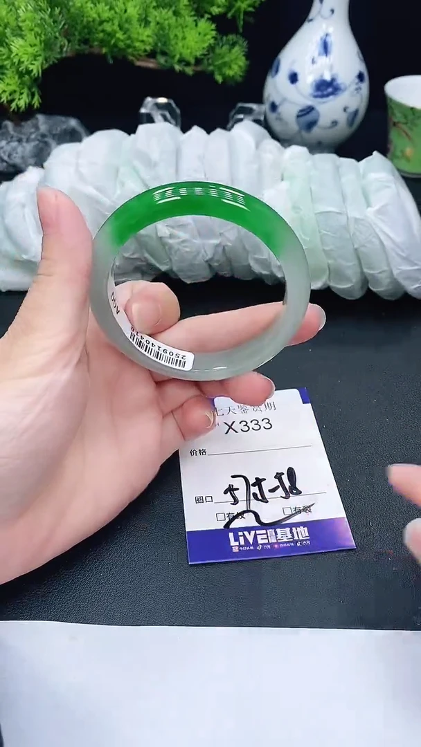 未镶嵌手镯翡翠333