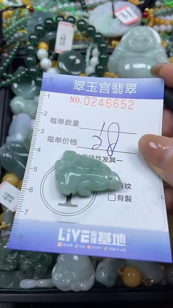 颈饰未镶嵌翡翠闪购C0246652