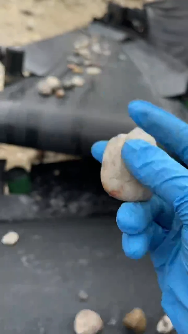 颈饰未镶嵌和田玉（糖玉）知*3