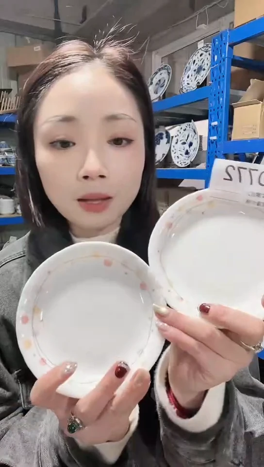【闪购商品】瓷片日本进口瓷器14cm碟两只D772