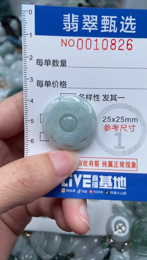 颈饰未镶嵌翡翠10826