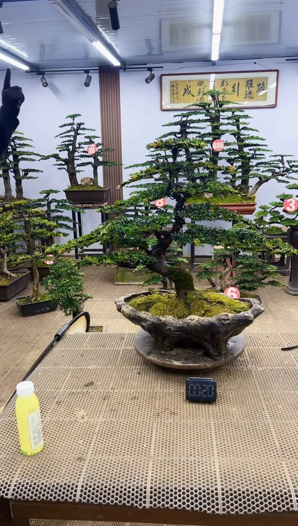 【闪购商品】000000