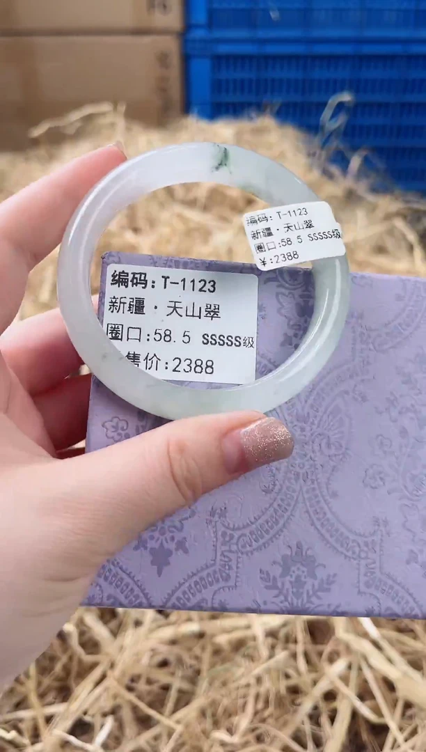 未镶嵌手镯石英质玉T-1123