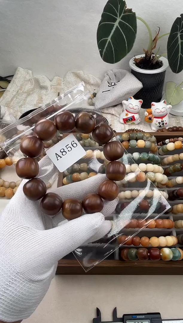 菩提根/象牙果手串a856瑕疵