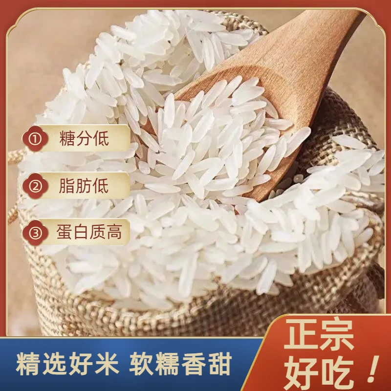 无抛光不打蜡原生态农家香米长粒大米猫牙米丝苗米10斤/5斤包邮