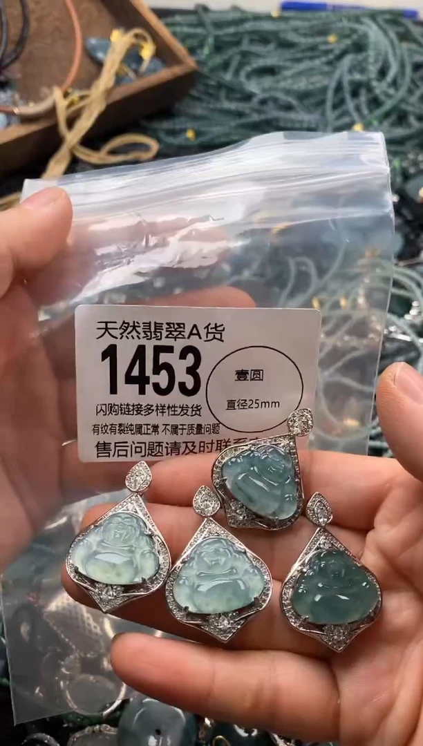 【闪购商品】翡翠颈饰未镶嵌多样性发其一1453