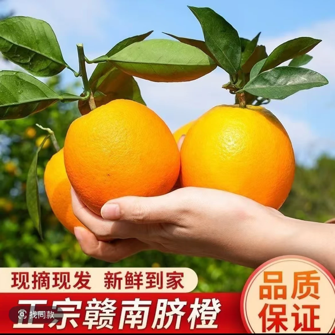 【供销社专属】正宗赣南脐橙精品果大果黄金酸甜比果香浓郁
