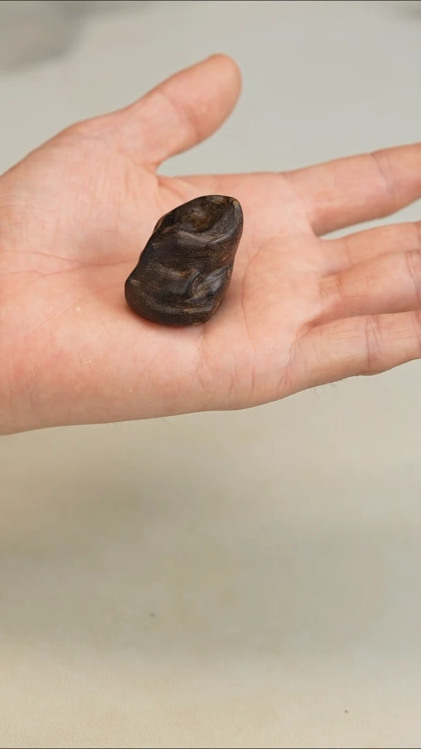 沉香沉香碎屑东马老沙巴沉水18.3g