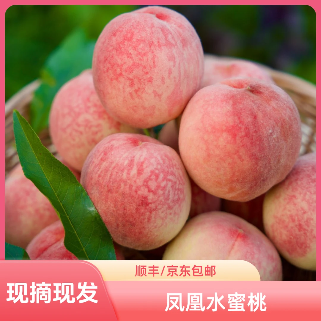 【顺丰/京东包邮】凤凰水蜜桃 四川龙泉山水蜜桃 现摘现发