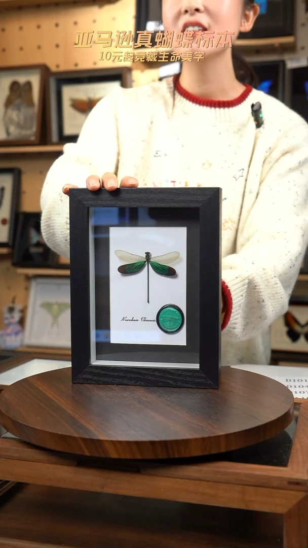 华艳色蟌火漆章版7寸黑框