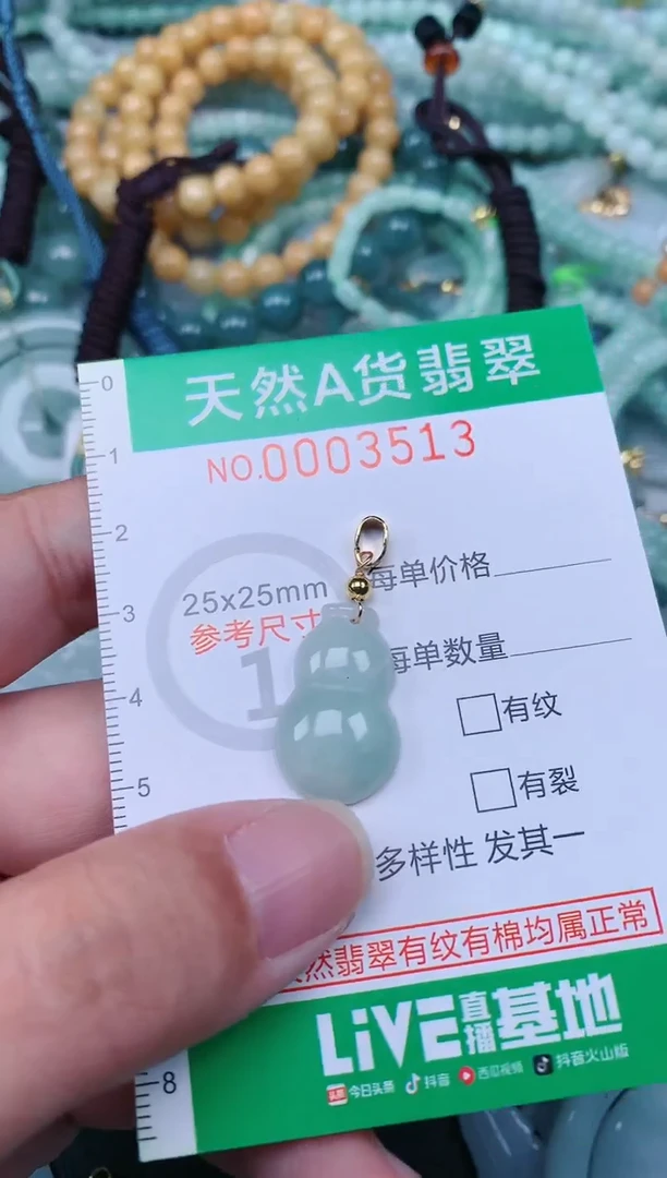 翡翠未镶嵌颈饰.0003513