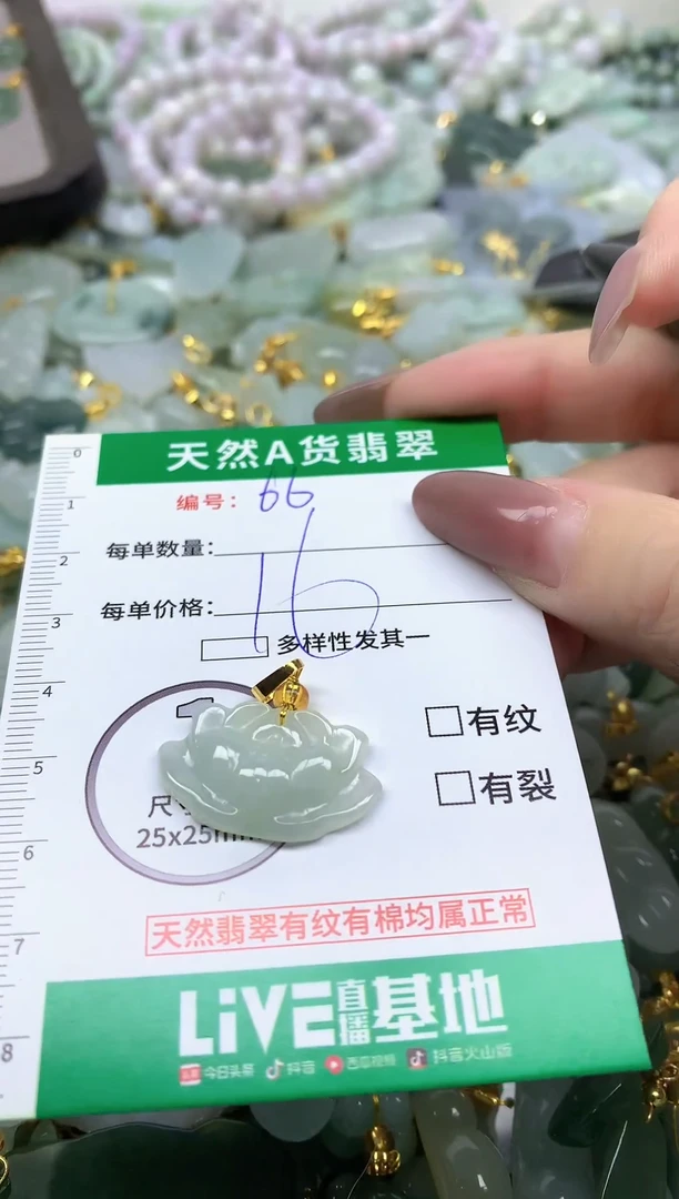 颈饰未镶嵌翡翠纯天然缅甸A货翡翠-66