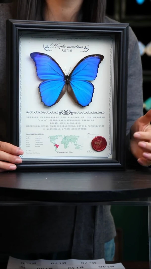 大蓝闪蝶中英文地图款红色火漆印章