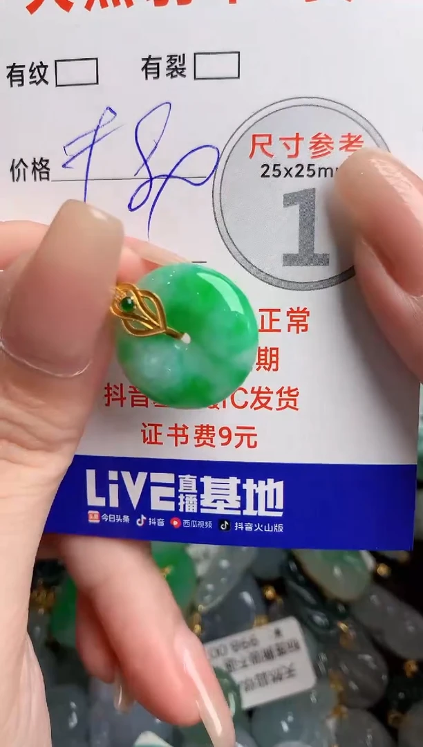 翡翠18K金镶嵌颈饰1002177053