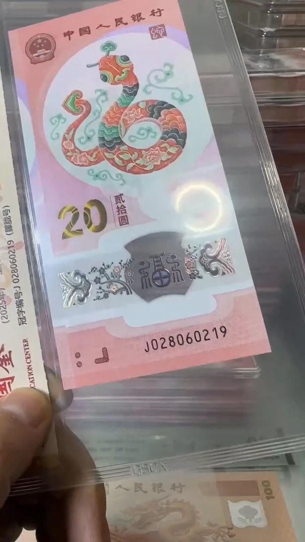 【闪购商品】塑料28060219-单张蛇钞！！