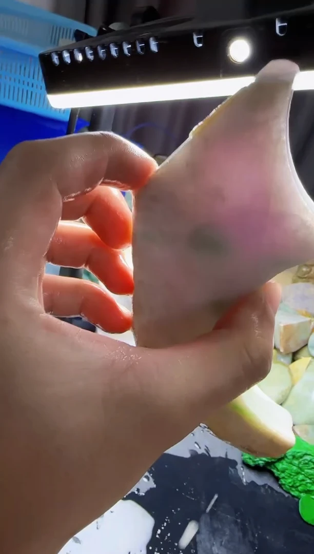 【闪购商品】翡翠颈饰未镶嵌012翡翠