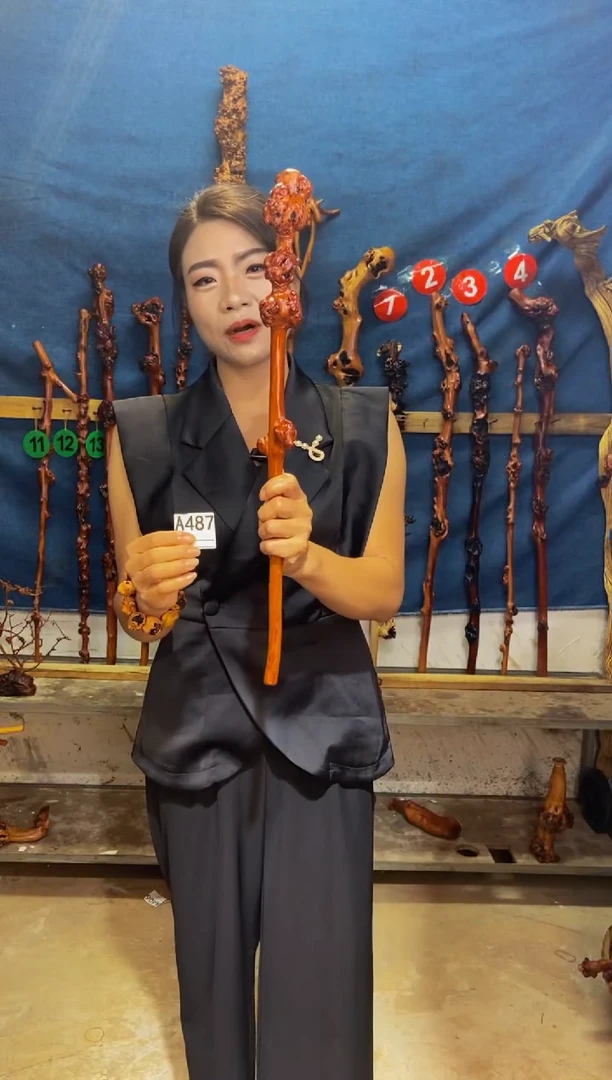 黑果木A***N黑果木A487