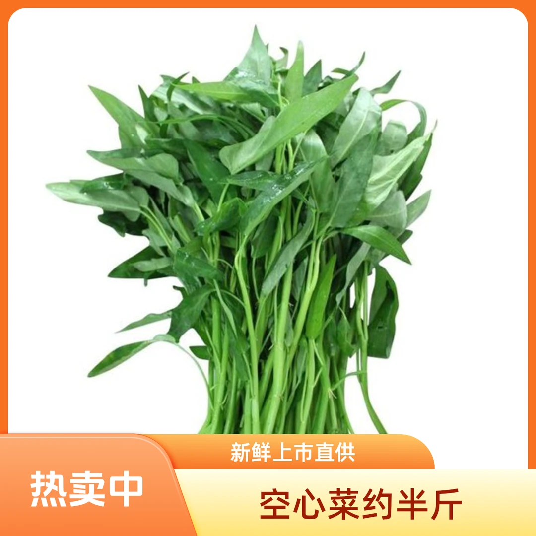 空心菜 0.6-1斤左右/份绿色蔬菜