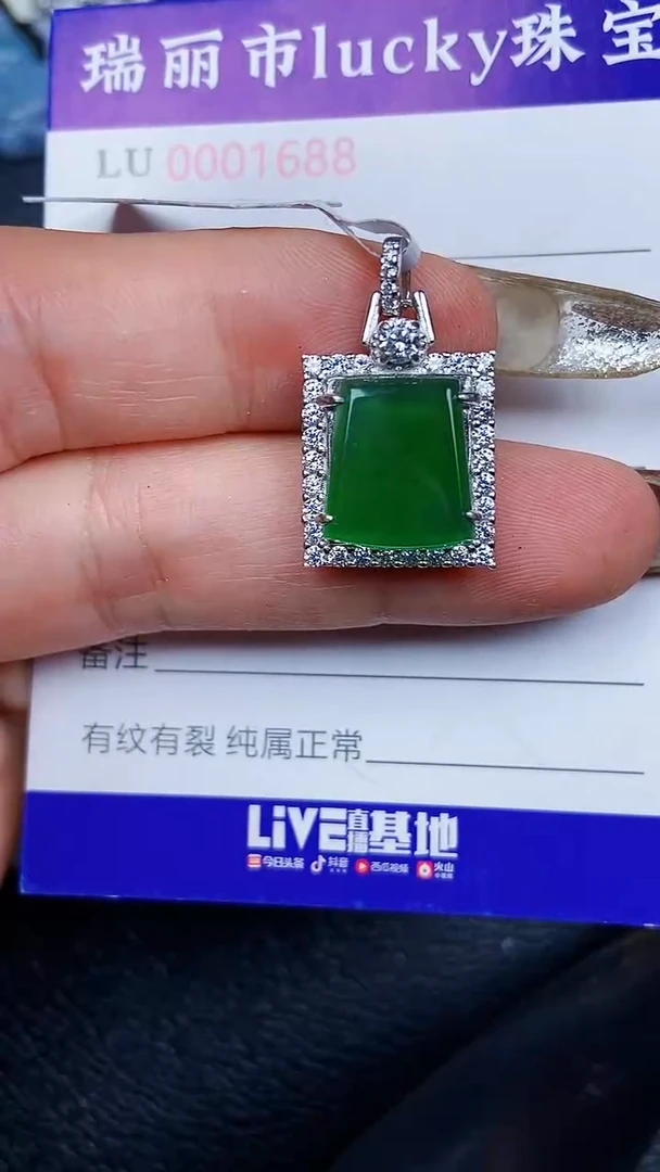 颈饰未镶嵌翡翠1688