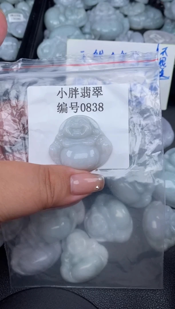 翡翠未镶嵌颈饰微瑕缅甸天然A货翡翠0838