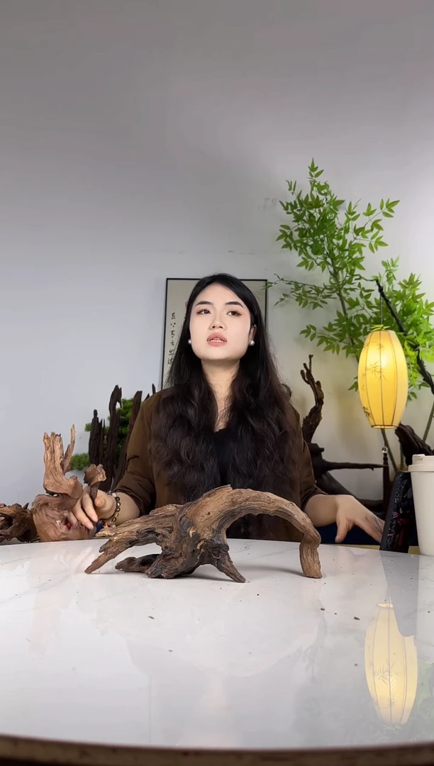 请***雄拍这个定向编号70