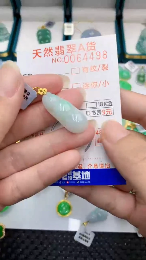 【闪购商品】翡翠颈饰18K金镶嵌            8