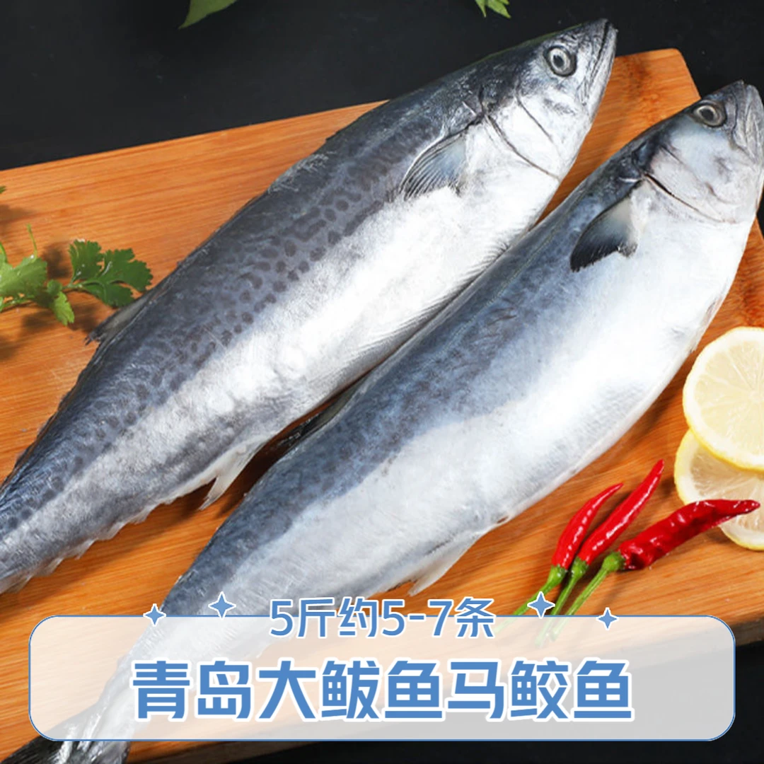 鲅鱼生鲜整体新鲜5斤可做鲅鱼馅5-7条左右