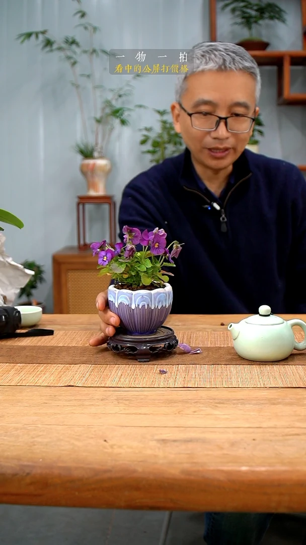 完全开放猫****魂角堇397