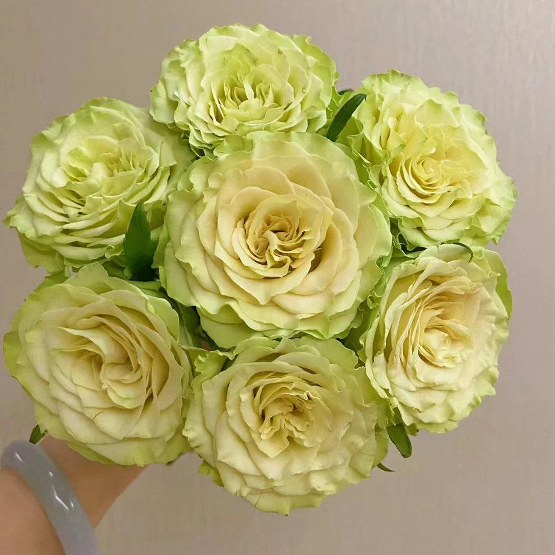 【福利优惠套餐】套餐A11 云南基地鲜花 基地直发