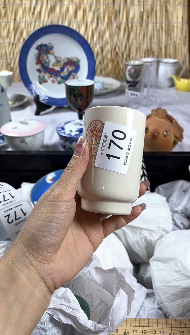 【闪购商品】碟              170