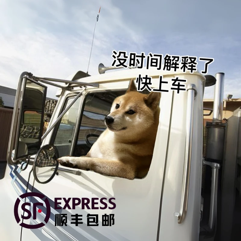 简中系列 集换式卡片盲盒「默认代拆」