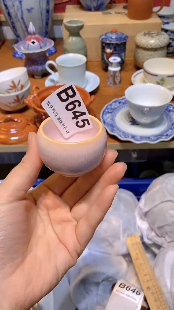 【闪购商品】思羽甄选壹号商品BB645