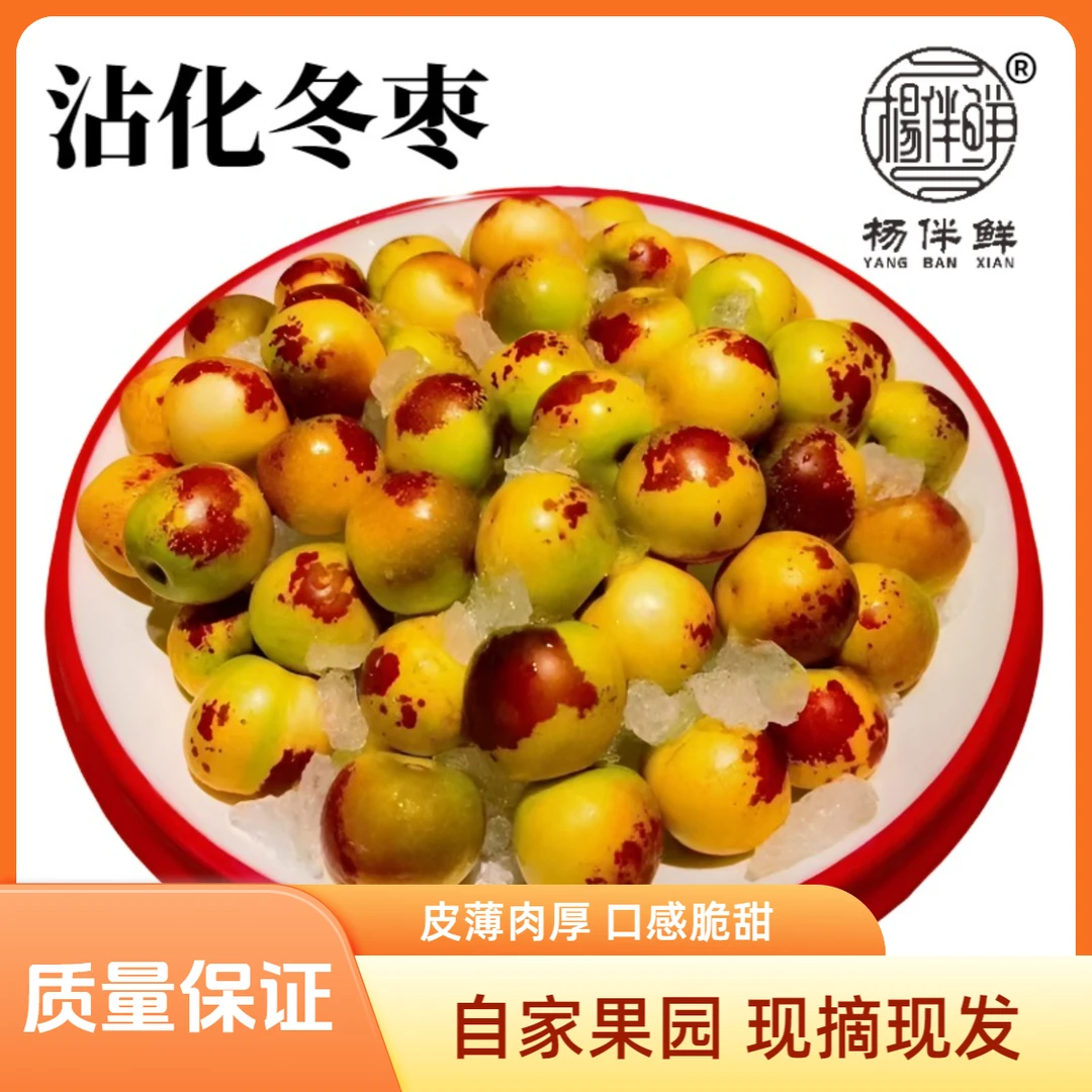 杨伴鲜【顺丰包邮】沾化冬枣 新鲜脆甜当季水果现摘现发