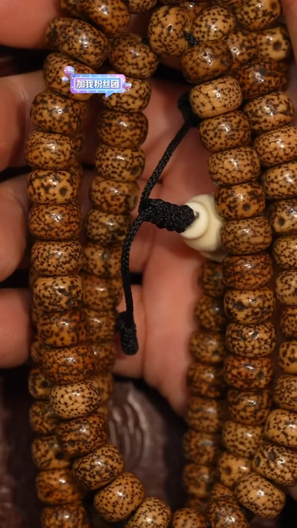 冲赛康胡子哥，藏传念珠292