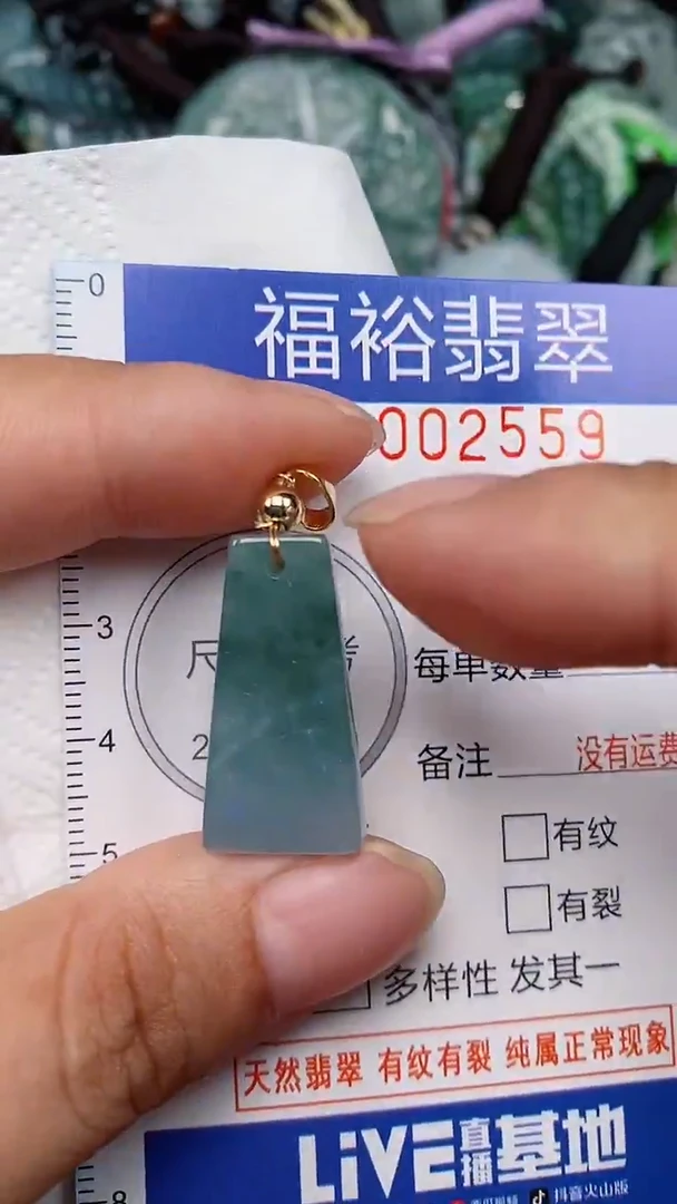 翡翠未镶嵌颈饰...0002559