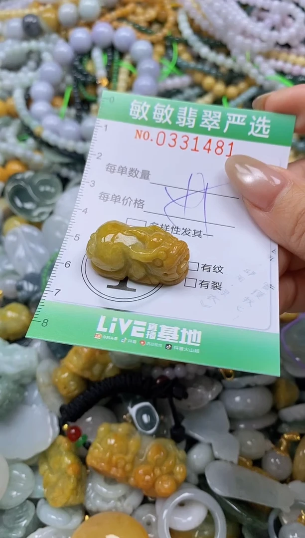 颈饰未镶嵌翡翠闪购0331481